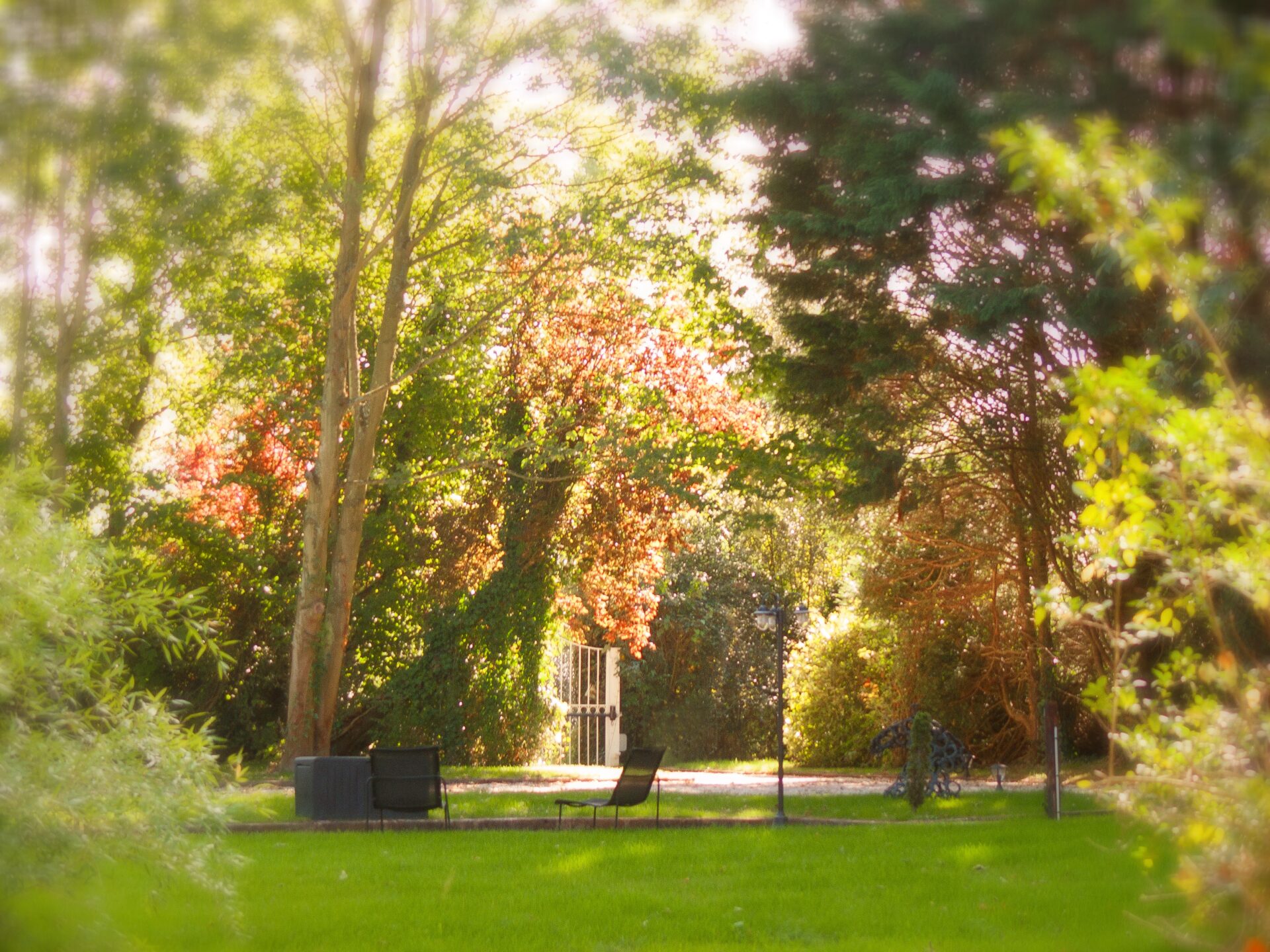 Le parc coté entrée Sud